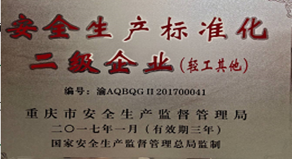 安全生(shēng)産标準化二級企業(輕工(gōng)其他(tā))