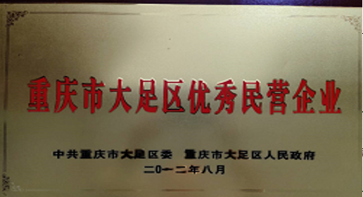 重慶市大(dà)足區優秀民(mín)營企業